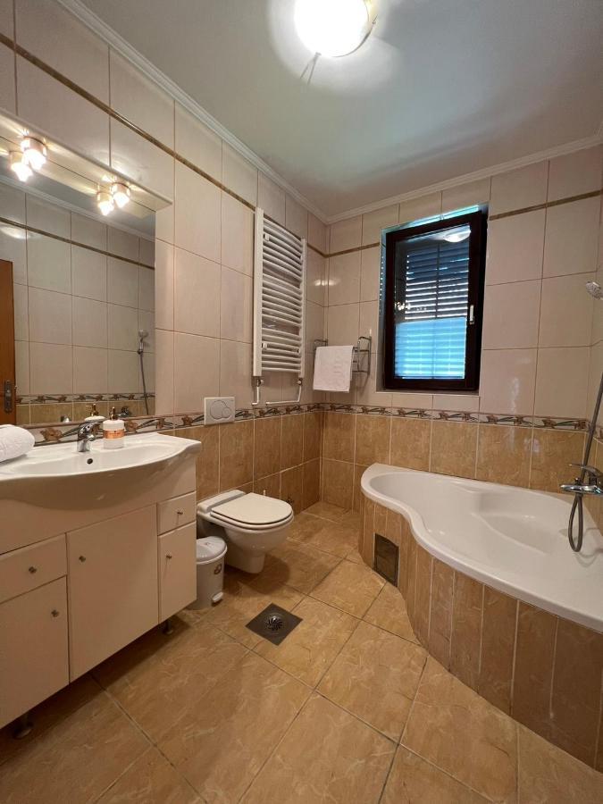 Interinn Luxury Villa Paraćin Zewnętrze zdjęcie