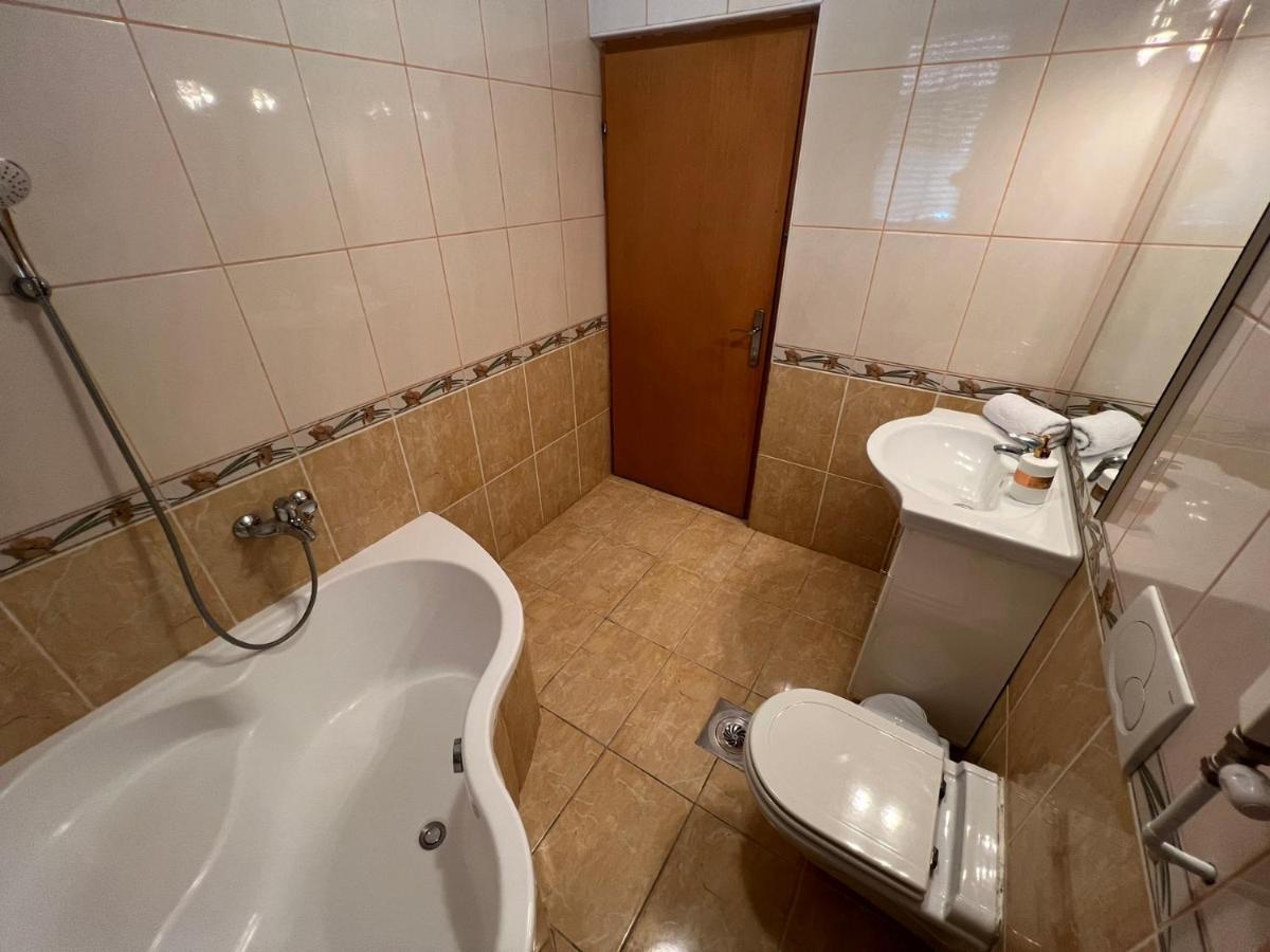Interinn Luxury Villa Paraćin Zewnętrze zdjęcie